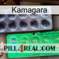 Kamagara new04